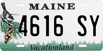 ME license plate 4616SY
