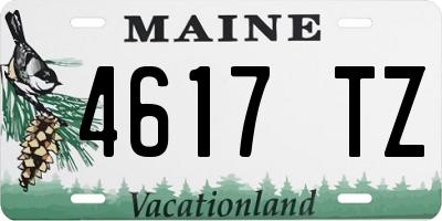 ME license plate 4617TZ