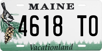 ME license plate 4618TO