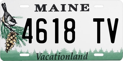 ME license plate 4618TV