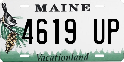 ME license plate 4619UP