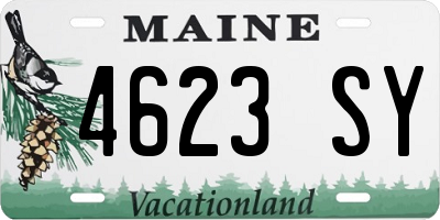 ME license plate 4623SY