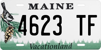 ME license plate 4623TF