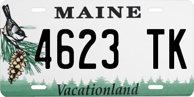 ME license plate 4623TK