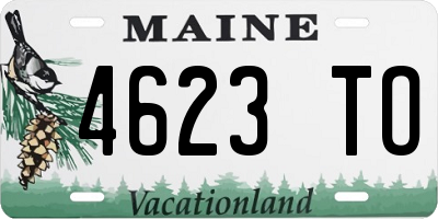 ME license plate 4623TO