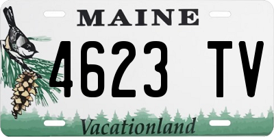 ME license plate 4623TV