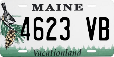 ME license plate 4623VB