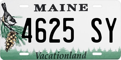 ME license plate 4625SY