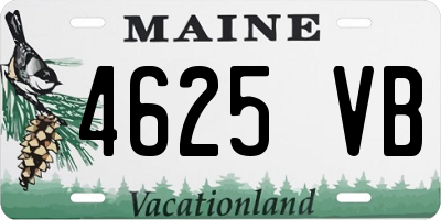 ME license plate 4625VB