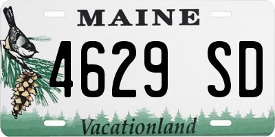 ME license plate 4629SD