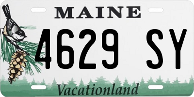 ME license plate 4629SY