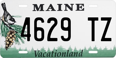ME license plate 4629TZ