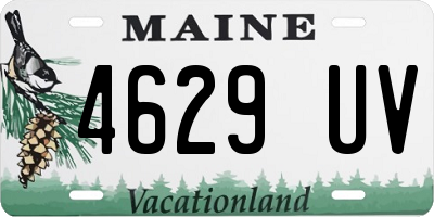 ME license plate 4629UV
