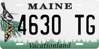 ME license plate 4630TG