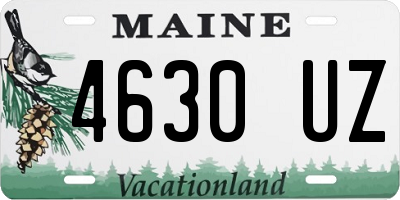 ME license plate 4630UZ