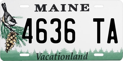 ME license plate 4636TA