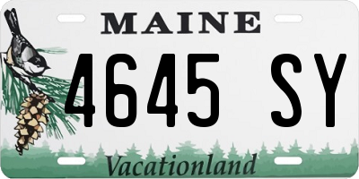 ME license plate 4645SY