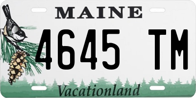 ME license plate 4645TM