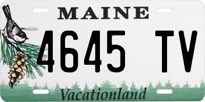 ME license plate 4645TV