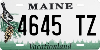 ME license plate 4645TZ