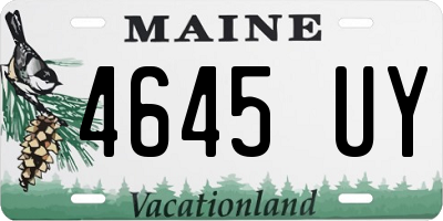 ME license plate 4645UY