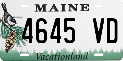 ME license plate 4645VD
