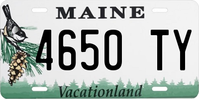ME license plate 4650TY
