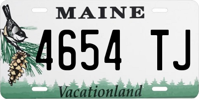 ME license plate 4654TJ