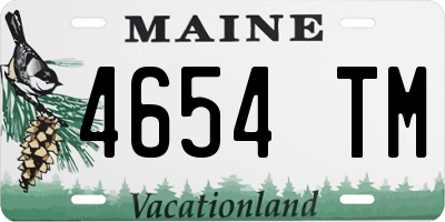 ME license plate 4654TM