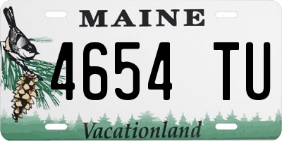 ME license plate 4654TU