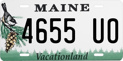 ME license plate 4655UO