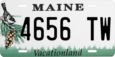 ME license plate 4656TW