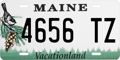 ME license plate 4656TZ