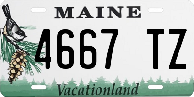 ME license plate 4667TZ