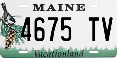 ME license plate 4675TV