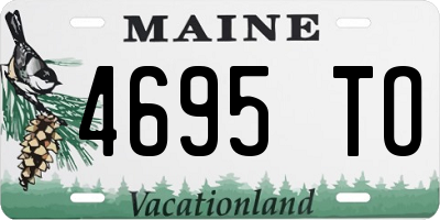 ME license plate 4695TO