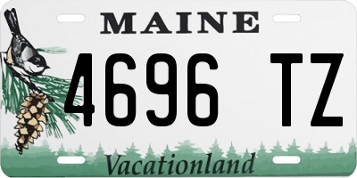 ME license plate 4696TZ