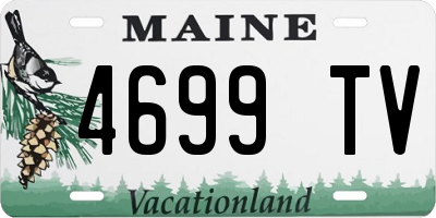 ME license plate 4699TV