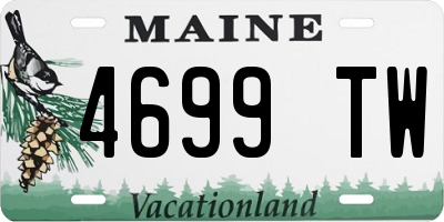 ME license plate 4699TW