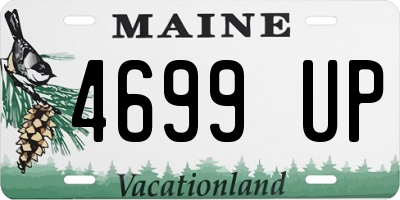 ME license plate 4699UP