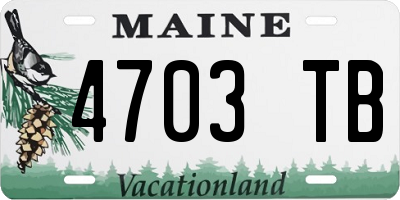 ME license plate 4703TB
