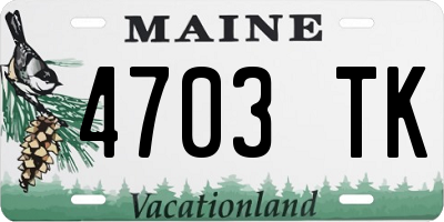ME license plate 4703TK