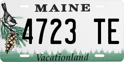 ME license plate 4723TE