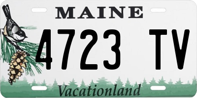 ME license plate 4723TV