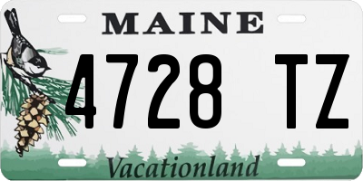 ME license plate 4728TZ