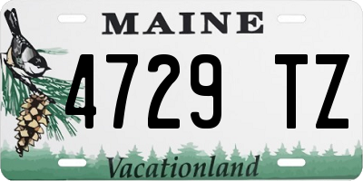ME license plate 4729TZ