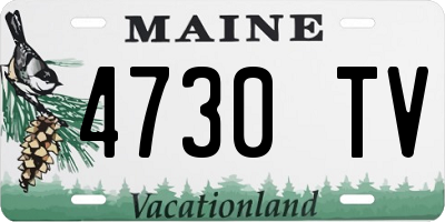 ME license plate 4730TV