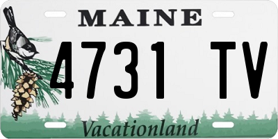 ME license plate 4731TV