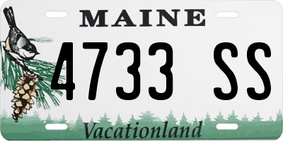 ME license plate 4733SS