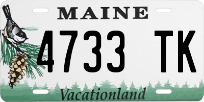 ME license plate 4733TK